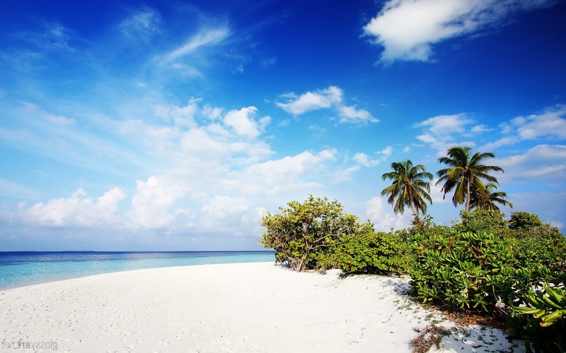 绝美自然海滩壁纸合集