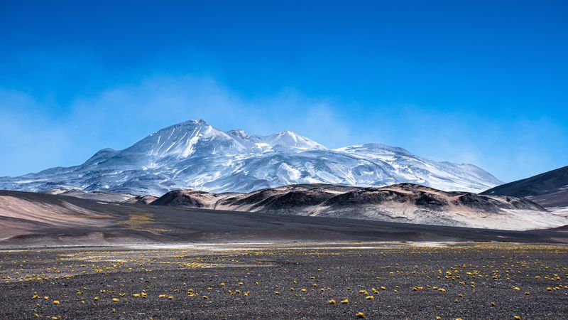 绝美金科罗拉多山麓花海原野 4K超清壁纸