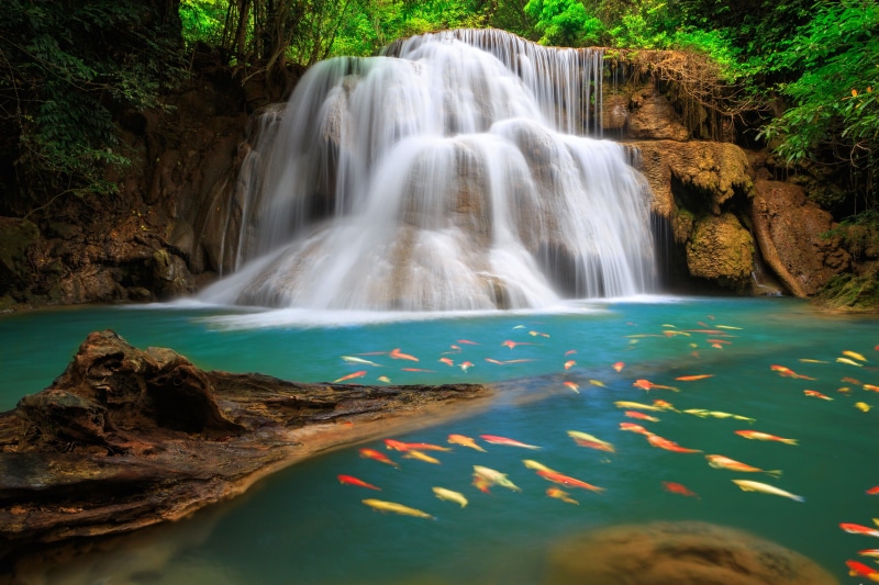 8K超清优胜美地壁纸合集 苹果OSX系统原生森林山脉桌面壁纸