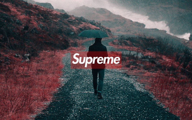 Supreme潮牌壁纸合集 适配桌面的高清风景伞面与创意壁纸