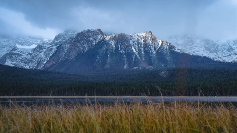 绝美的雪山草原公路4K壁纸