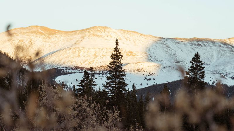 山野林间的4K绝美风景壁纸