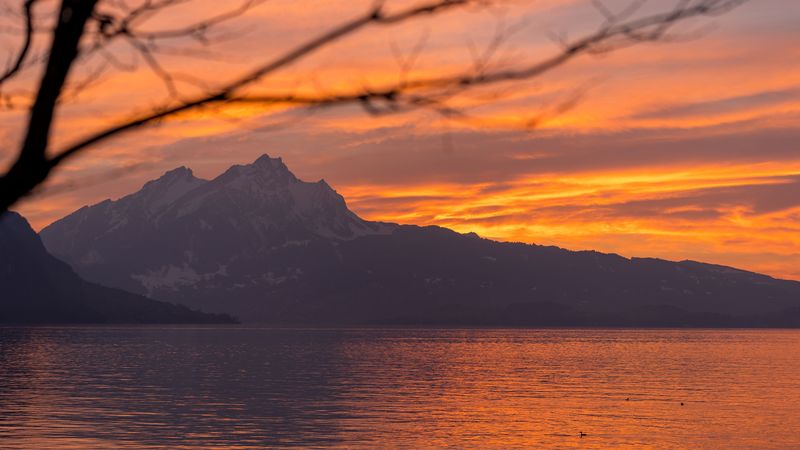 绝美山水落日枝桠4K壁纸合集