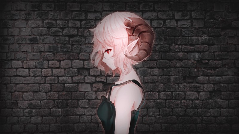 动漫少女侧脸高清壁纸