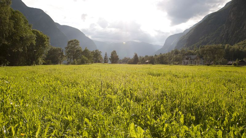 绝美山野草地风光4K壁纸