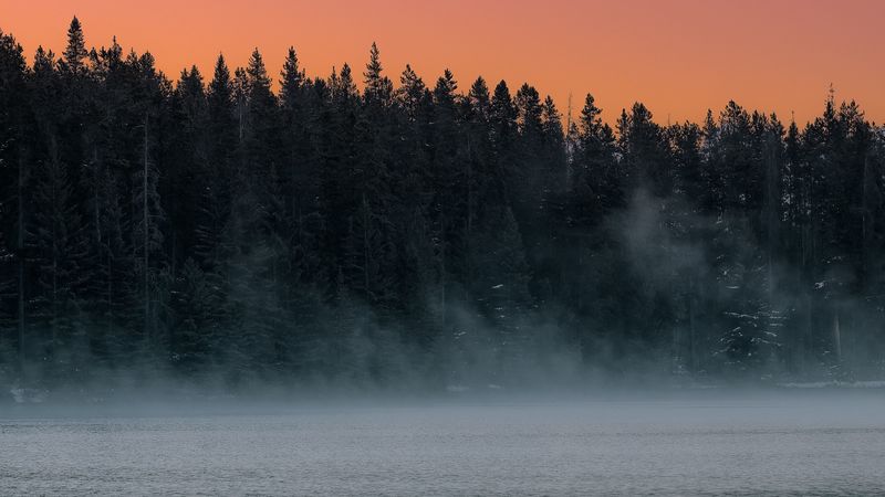 黄昏雾湖林景4K壁纸合集