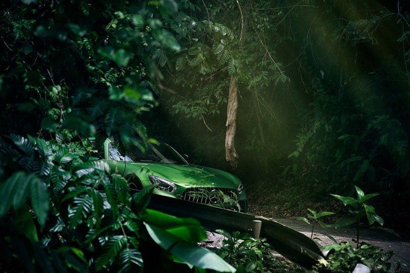 绝美奔驰AMG GT壁纸合集 公路绿树间的德系性能猛兽