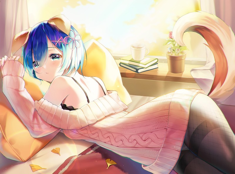 从异世界开始的重生日常 雷姆同人美图合集