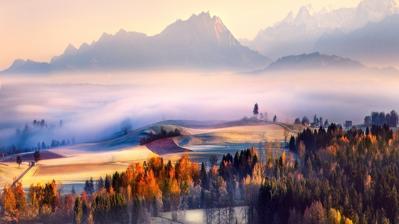 秋日晨雾山林壁纸合集