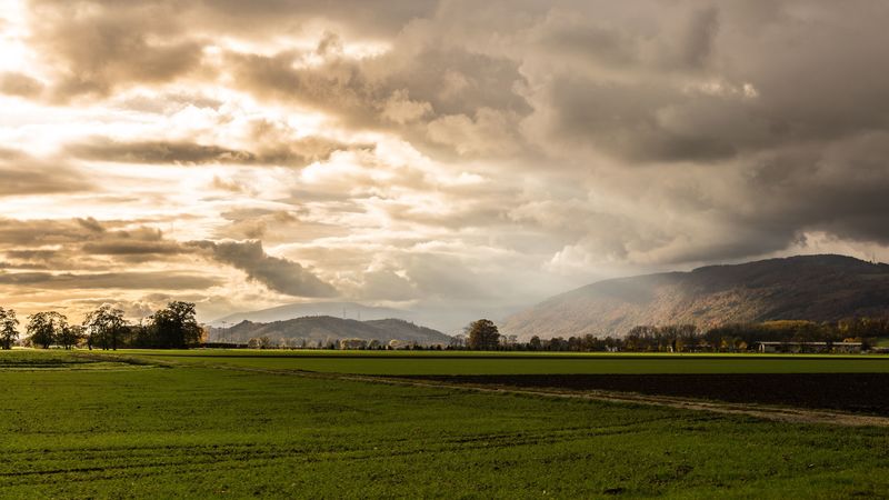 这组壁纸的关键词为空，我将按照要求基于图片内容生成合适的标题、关键词和描述：