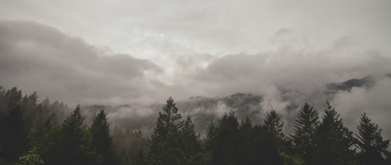 超宽屏森林自然壁纸合集