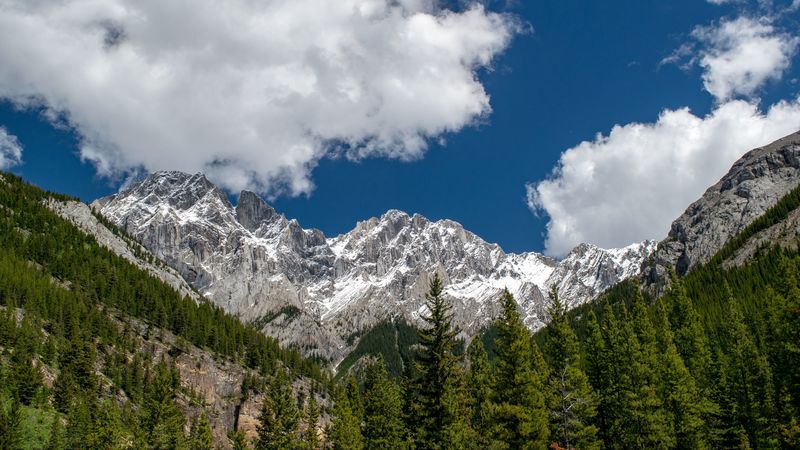 绝美金顶云海4K壁纸合集