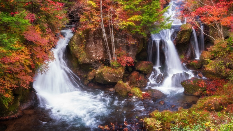 绝美秋日8K森林瀑布壁纸