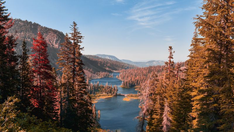 绝美山湖杉林壁纸 4K高清画质