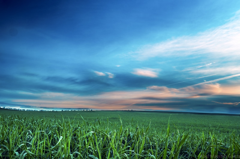 5000分辨率西班牙塞维利亚绝美自然风光壁纸合集