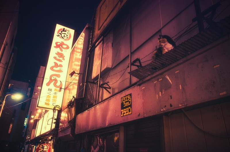 街头街景城市壁纸合集