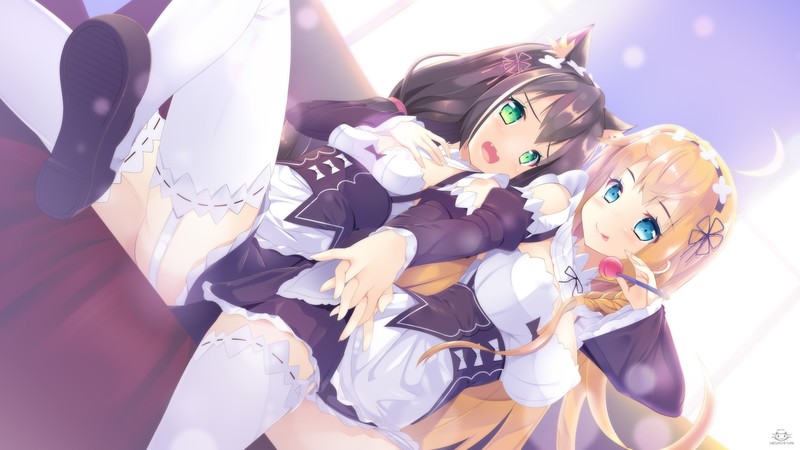 多款公主连结猫娘同人壁纸合集