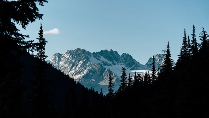 这套暗黑氛围感山水林影壁纸 太绝了