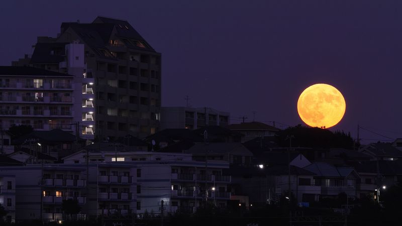 深夜都市月色壁纸合集