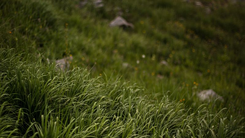 一眼沦陷的山野壁纸！4K高清质感拉满