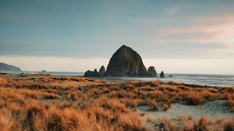 山野枯草岩石壁纸 绝美4K高清自然场景