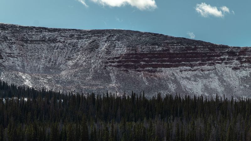 针叶林山地风光 4K超清壁纸