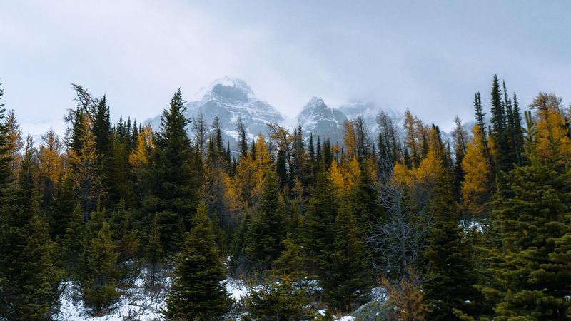 绝美的4K雪山森林壁纸合集