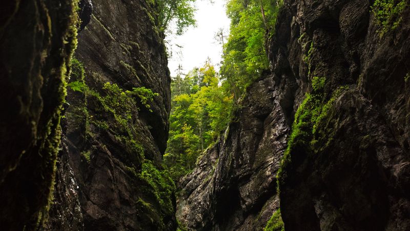 峡谷岩壁山林自然壁纸