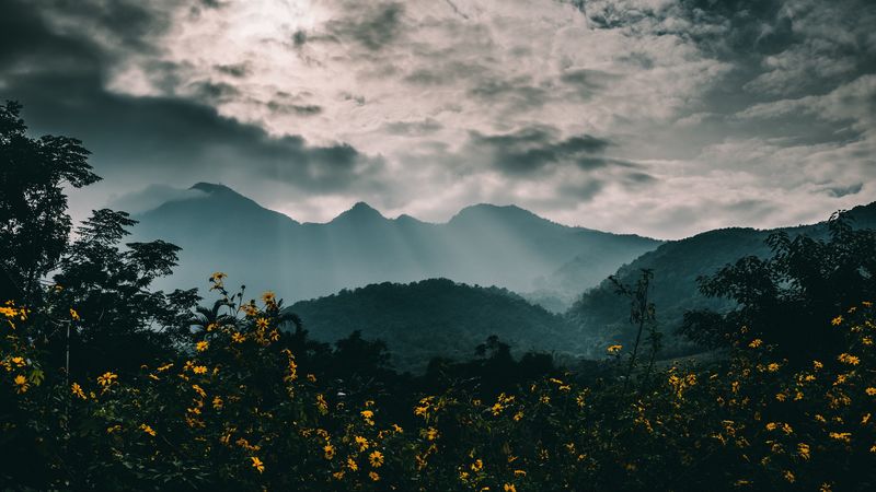 绝美山野云雾花海壁纸合集