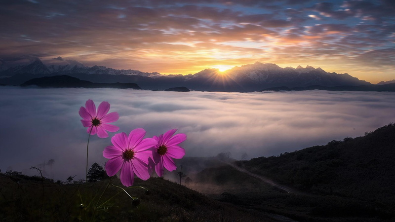 四川贡嘎雪山牛背山绝美云海花海