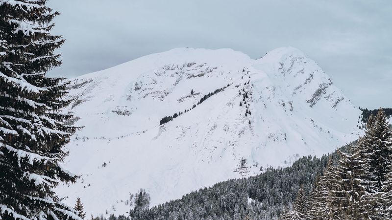 雪山云杉雪景4K高清壁纸