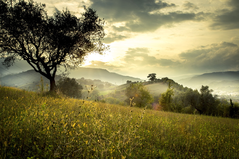 5000像素分辨率绝美山野自然壁纸合集