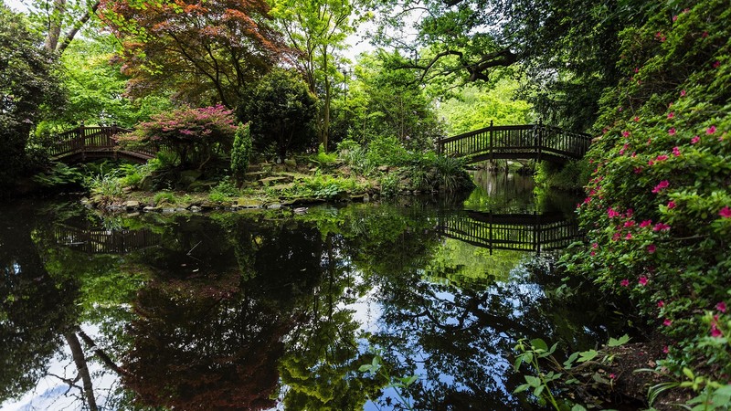 伦敦郊野公园绝美水景壁纸