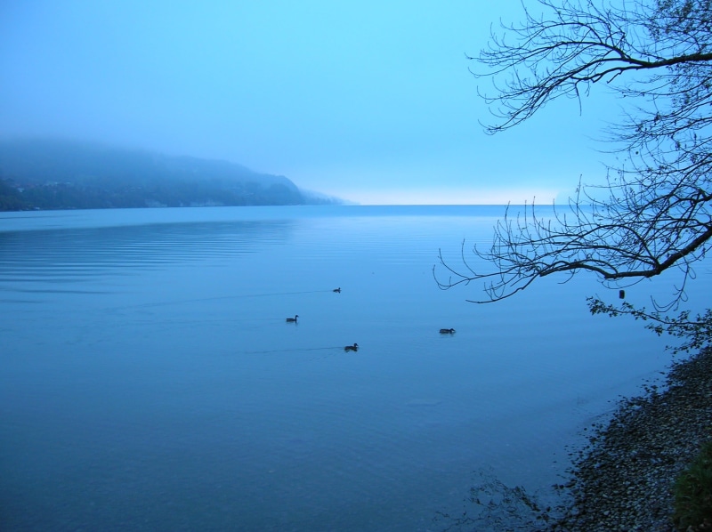 瑞士因特拉肯晨间湖景壁纸