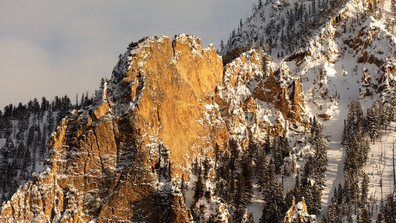 绝美金冬山野壁纸合集
