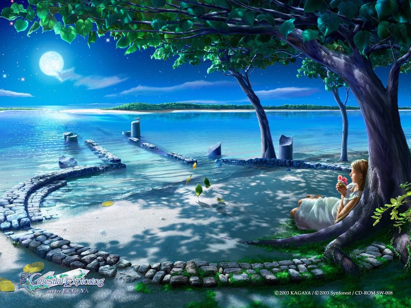 绝美梦幻海滩风光壁纸合集