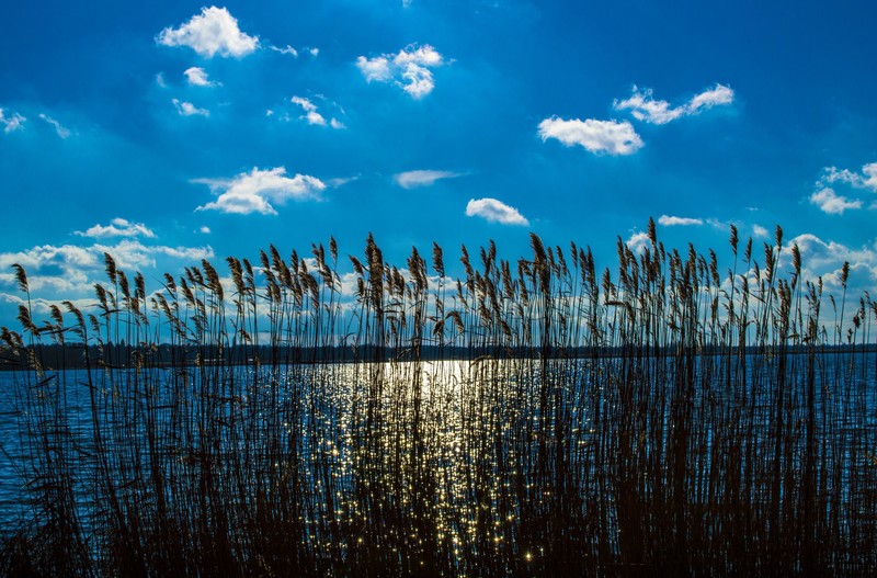 绝美的天地自然壁纸合集