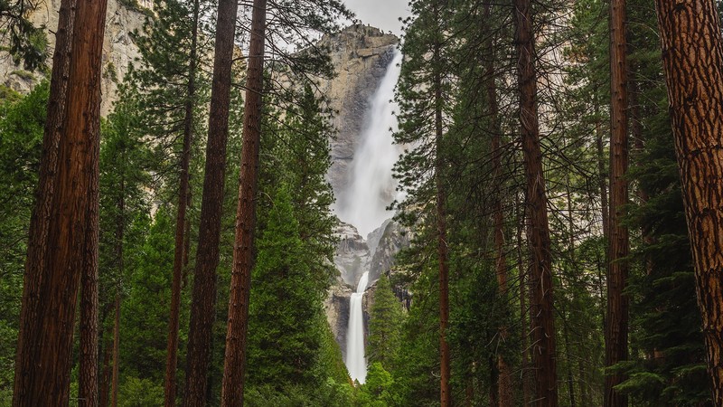 绝美山野瀑布松林壁纸