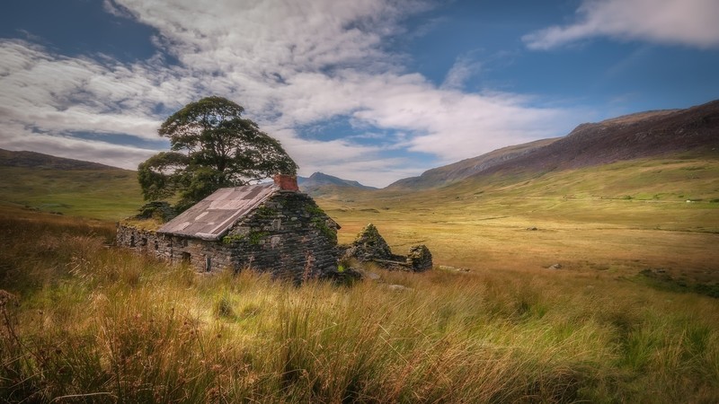 废弃老宅的自然废墟之美