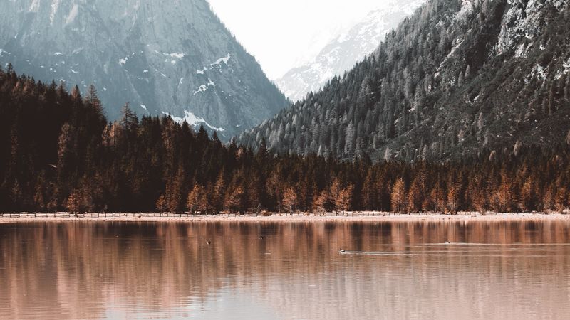 绝美的湖山林岸风光 4K高清壁纸