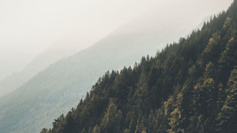 4K绝美山野雾景壁纸合集