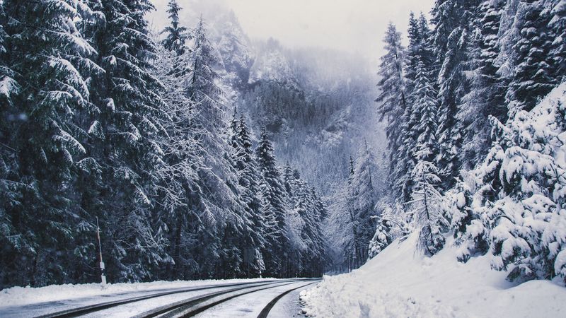 冬日雪林山路转景 4K超清壁纸
