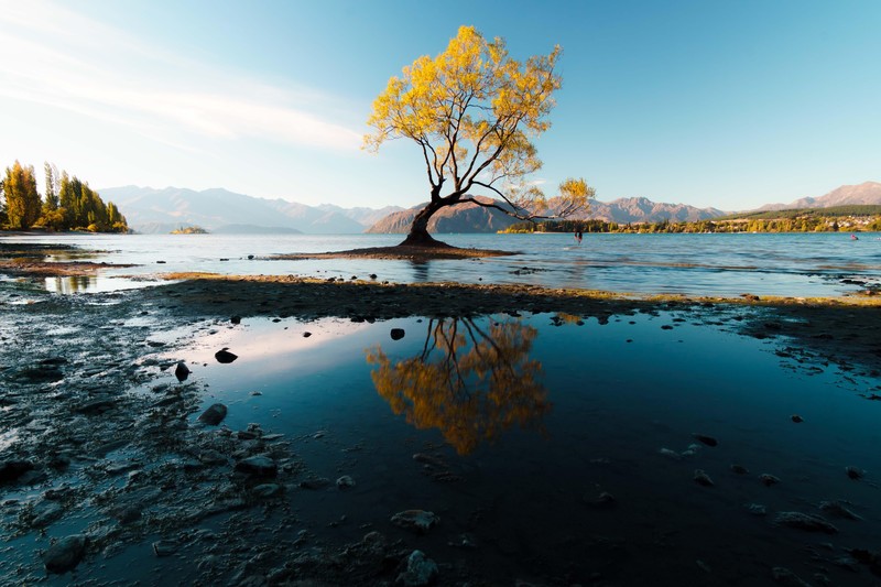 秋日林木壁纸合集