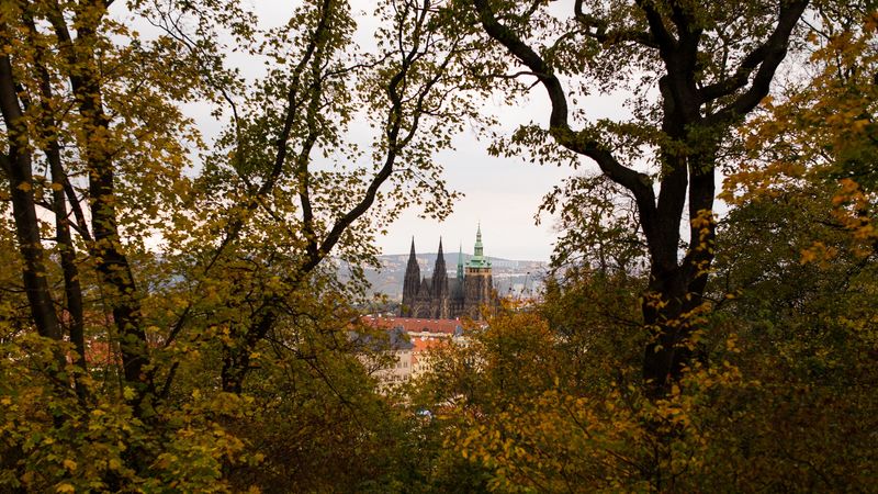 绝美城堡建筑森林壁纸 一眼沦陷