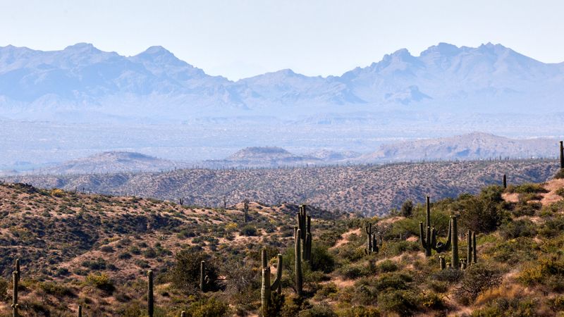 一眼沦陷的4K绝美壁纸！草原、仙人掌、远山和远方