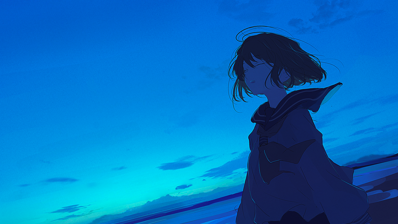 动漫少女与星空 高清壁纸