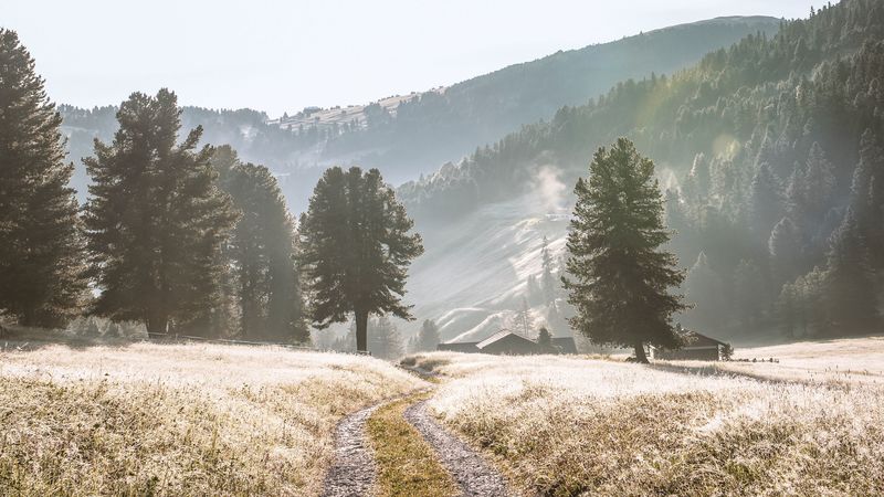 盘山公路迷雾山林 4K高清壁纸