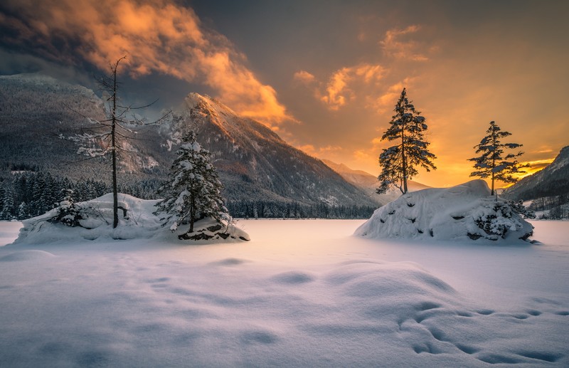 德国巴伐利亚冬日雪景 夕阳下的森林绝美壁纸