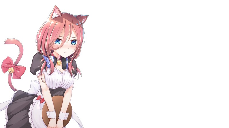 五等分的新娘猫耳女仆壁纸合集