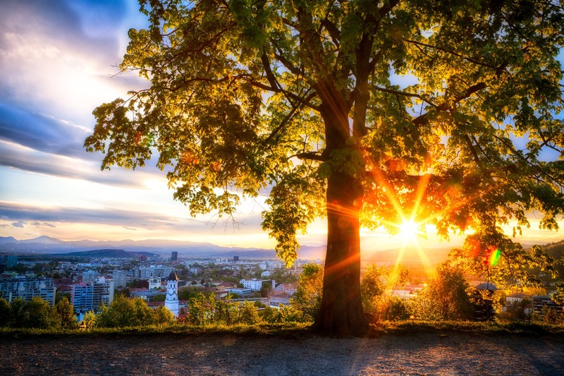 这座赛博都市的日出壁纸